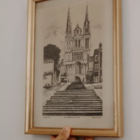 Appartement Le Nid Du Chateau - Cocon Avec Bagagerie