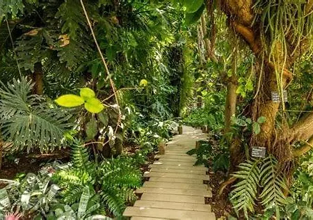 Le Nid Du Chateau - Cocon Avec Bagagerie Appartement