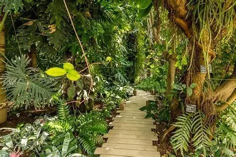 Le Nid Du Château - Cocon Avec Bagagerie Appartement